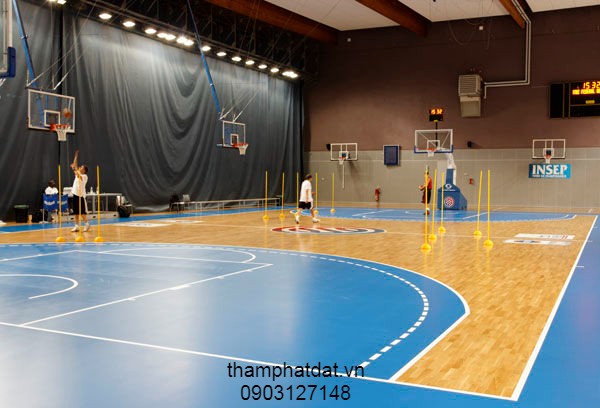 thảm volleyball phát đạt 